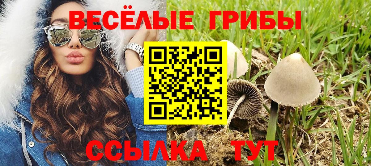Галлюциногенные грибы Magic Shrooms  дарнет шоп  Галлюциногенные грибы Psilocybine cubensis  Кунгур  Вход с VPN 